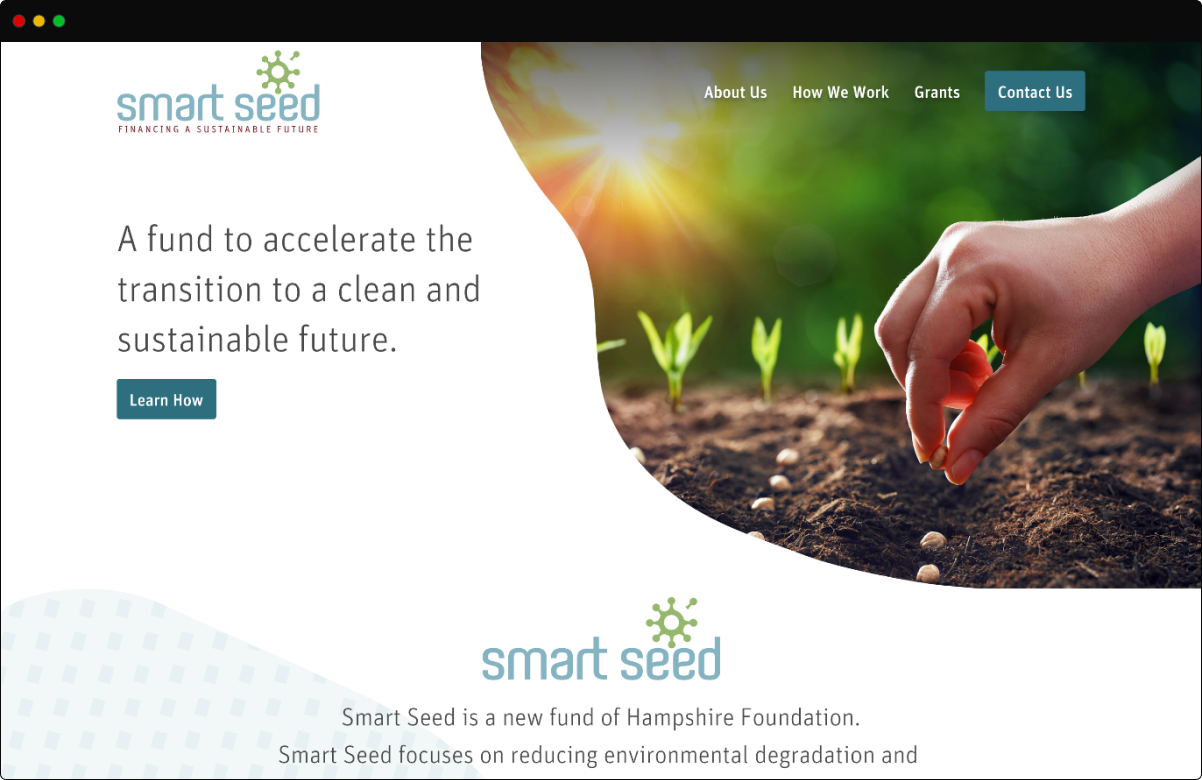 Google Chrome image of Smart Seed Fund home page